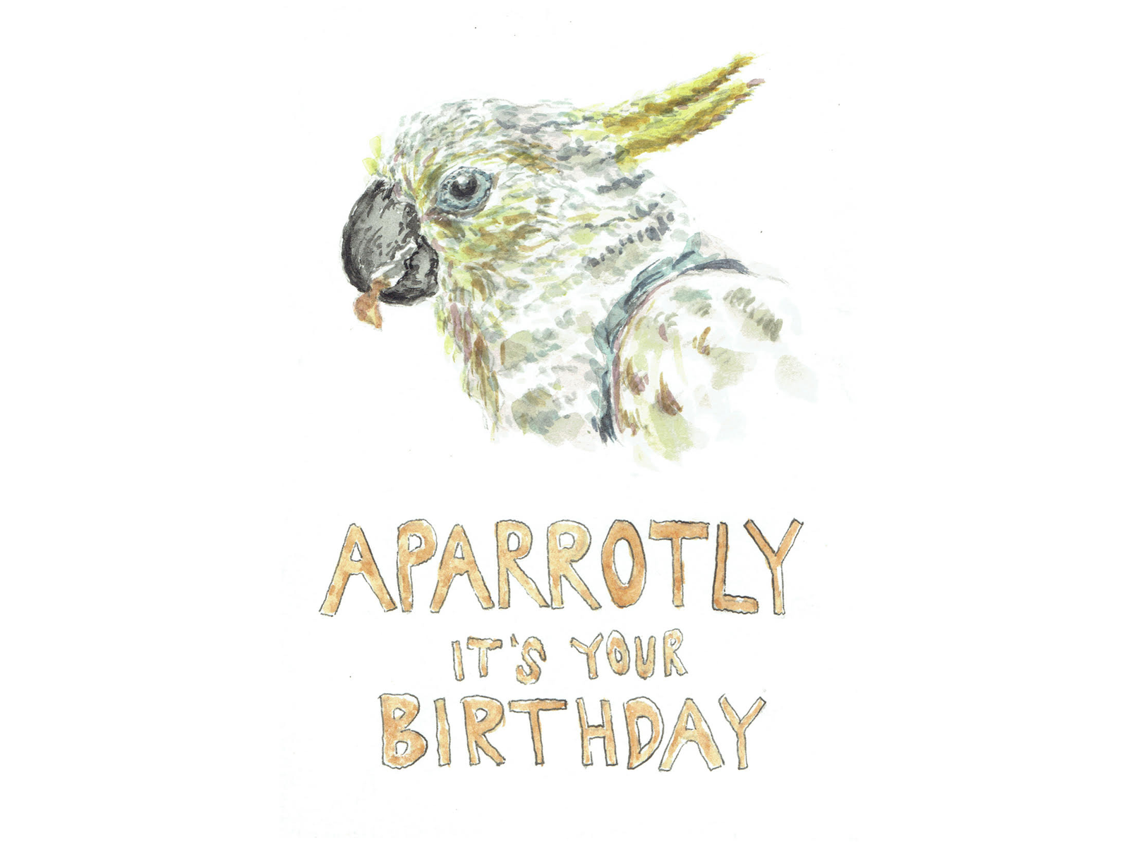 Casper Cockatoo Birthday Card