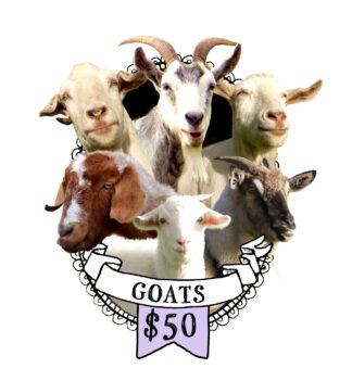 Sponsor The Goats